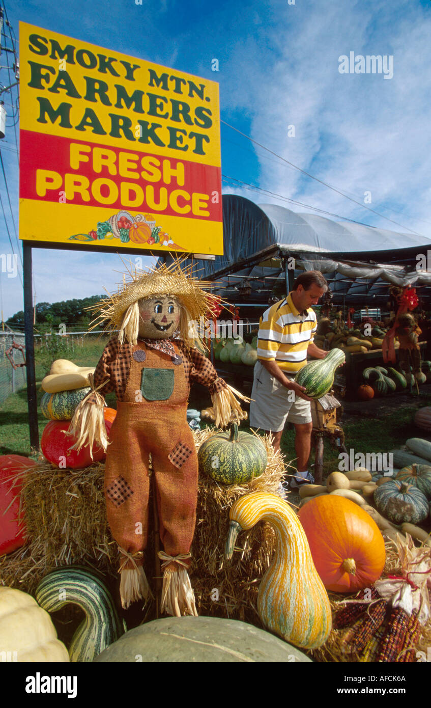 Sevierville Tennessee, Maplewood Farms Smoky Mountains Farmers Market production d'automne TN021, les visiteurs voyage visite touristique site touristique Banque D'Images