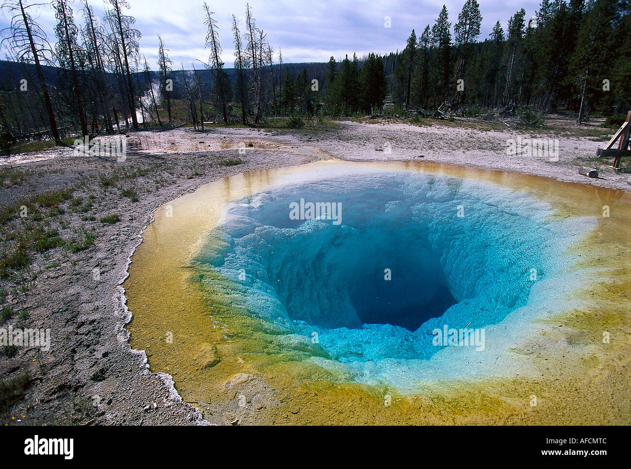 Morning Glory Pool, Upper Geyser basin, Wyoming, USA Yellowstone NP Banque D'Images