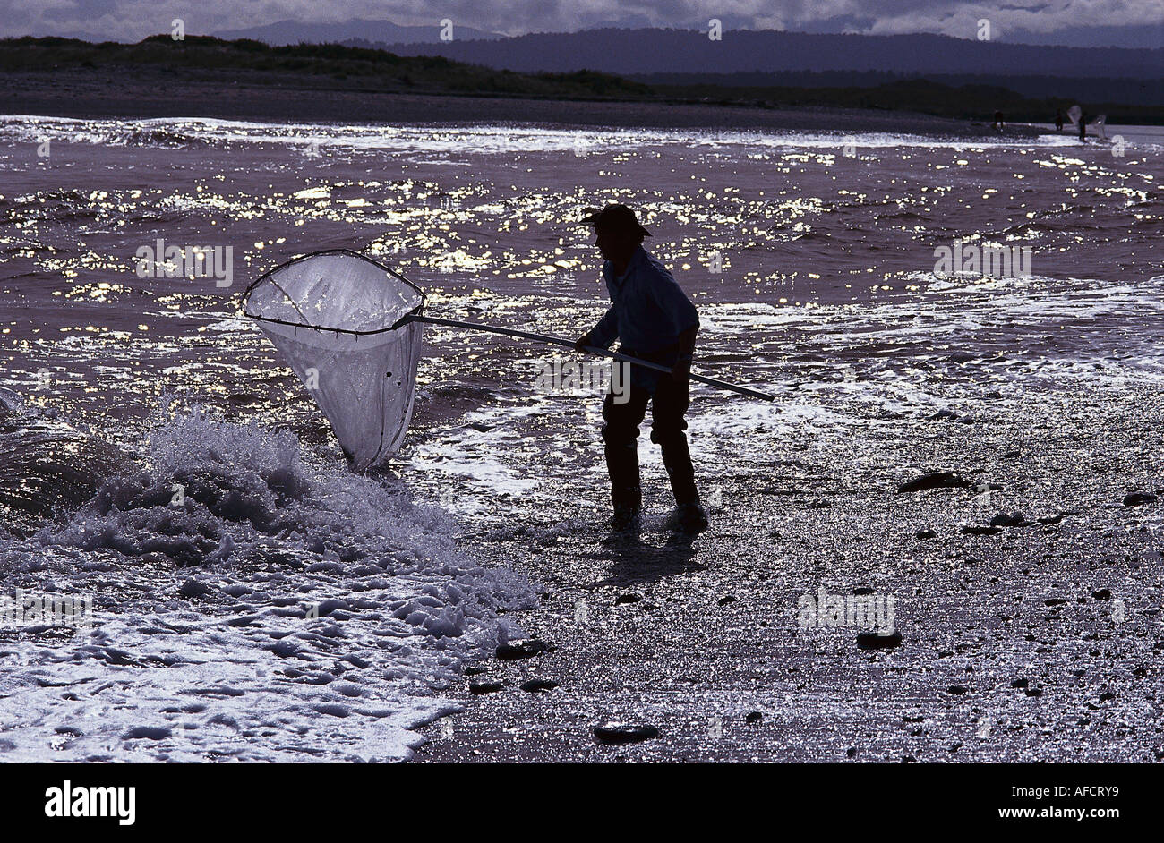 Whitebaiting, Okarito Lagoon, Westland NP, île du Sud Nouvelle-Zélande Banque D'Images