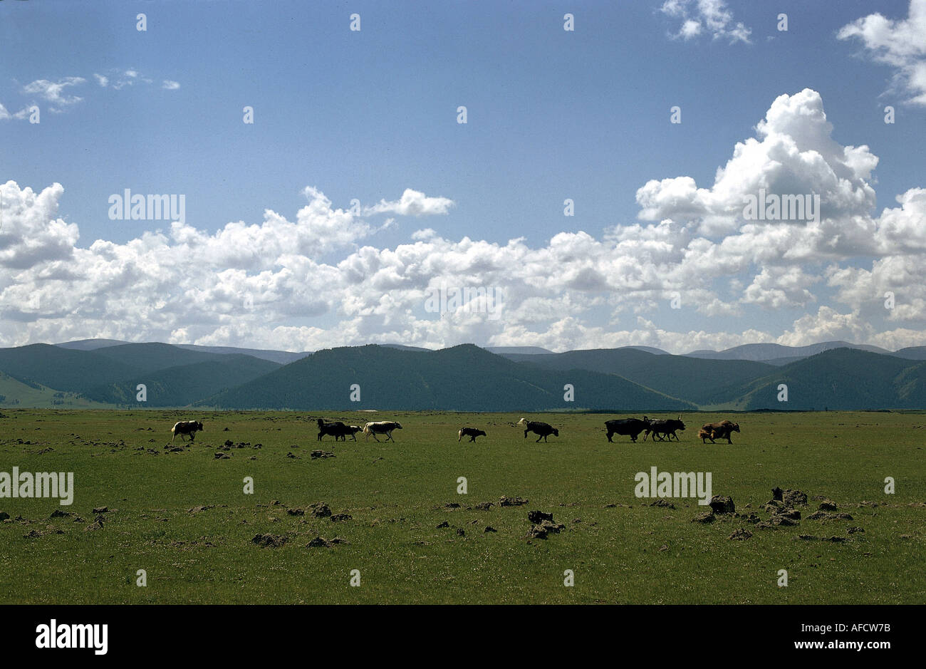 Géographie / voyages, Mongolie, paysage, paysages autour de la rivière Orchon, , Banque D'Images
