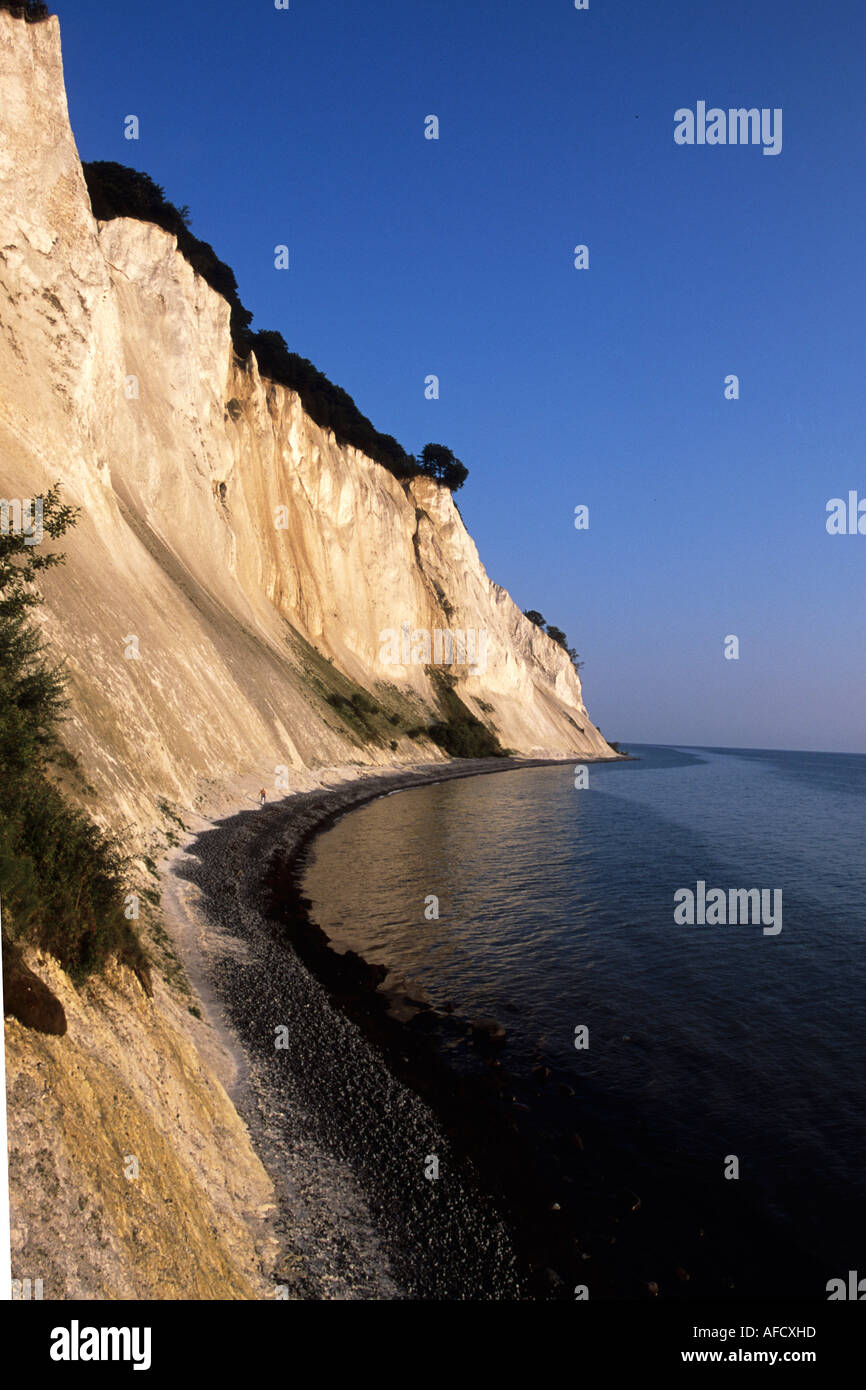 Mons Klint Falaises de craie, Mons Klint, Mon, Danemark Banque D'Images