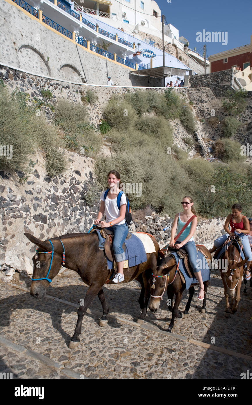 Les touristes sur Donkey Mules, Fira, Santorini, Grèce Banque D'Images