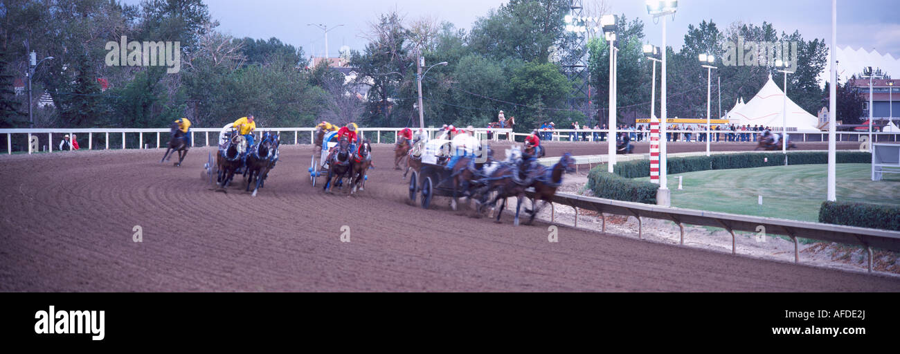 Une course de charrettes au Calgary Stampede Rodeo dans la ville de Calgary en Alberta Canada Banque D'Images