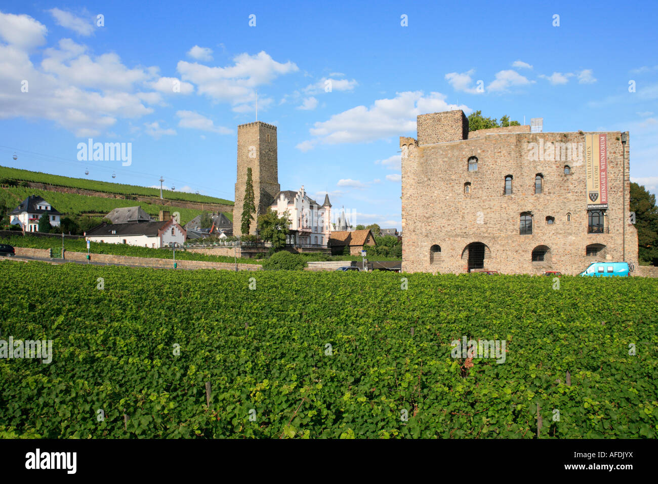 Bromserburg Dietikon et château château à Rudesheim dans la vallée du Rhin en Allemagne Banque D'Images