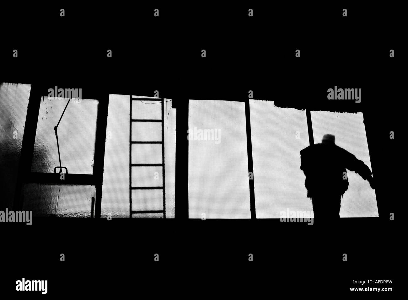 Homme debout sur la fenêtre, vue arrière Banque D'Images