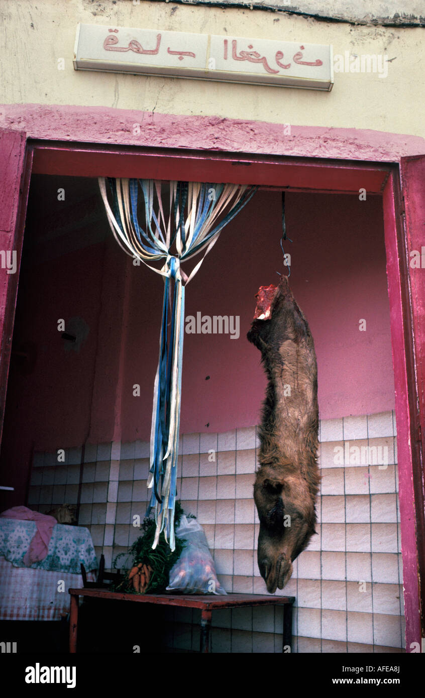 Tunisie Tozeur, désert du Sahara, tête de chameau accrochés à boucherie pour montrer que la viande est fraîche Banque D'Images