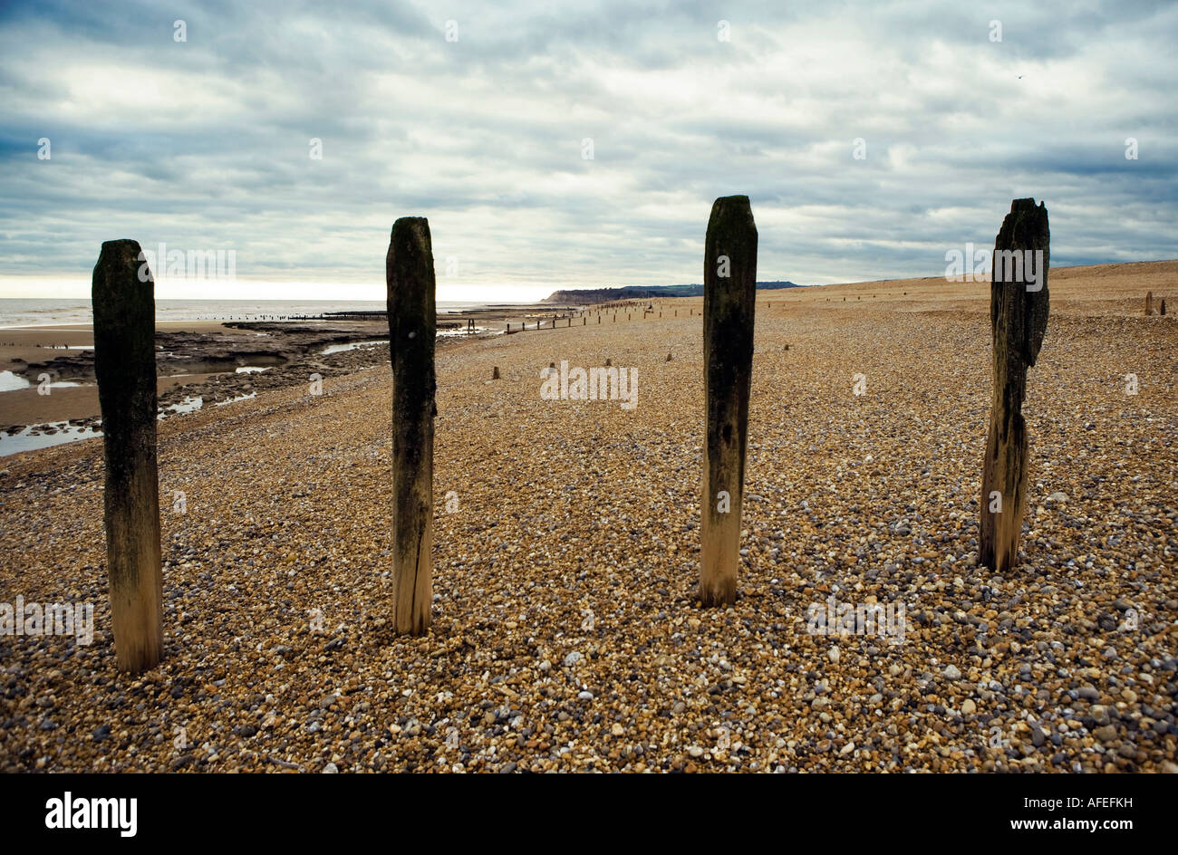 Rangée de bois épis sur une plage de galets Banque D'Images