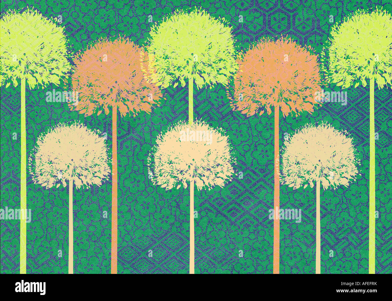 L'étape et répéter l'illustration de l'Allium Banque D'Images