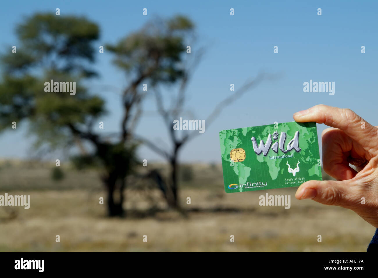 Parcs nationaux d'Afrique du Sud. La Wild Card International. Banque D'Images