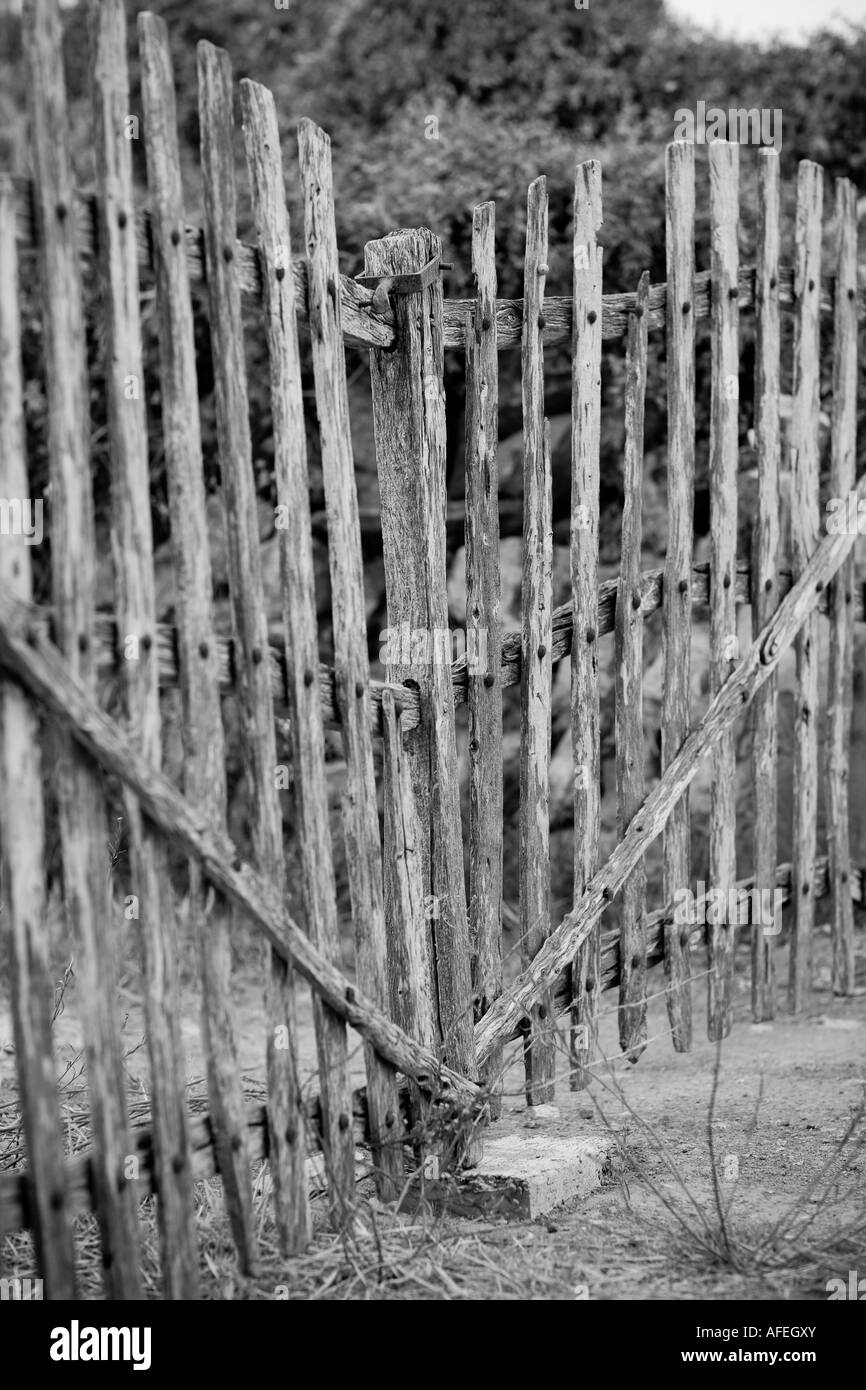 Gate dans une vieille clôture Banque D'Images