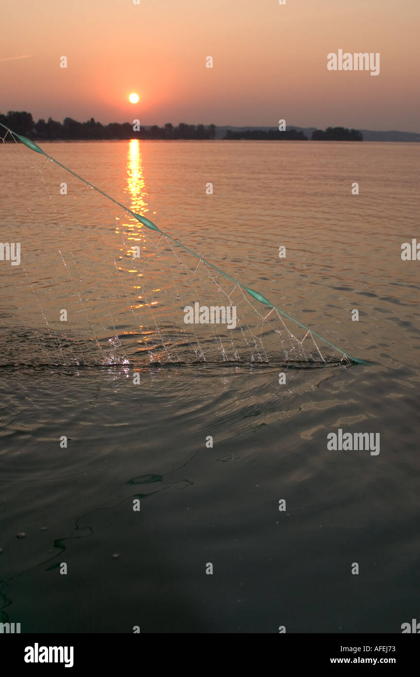 La pêche sur le lac de Constance (Bodensee), Bad Herrenalb Baden-württemberg Allemagne Juillet 2004 Banque D'Images