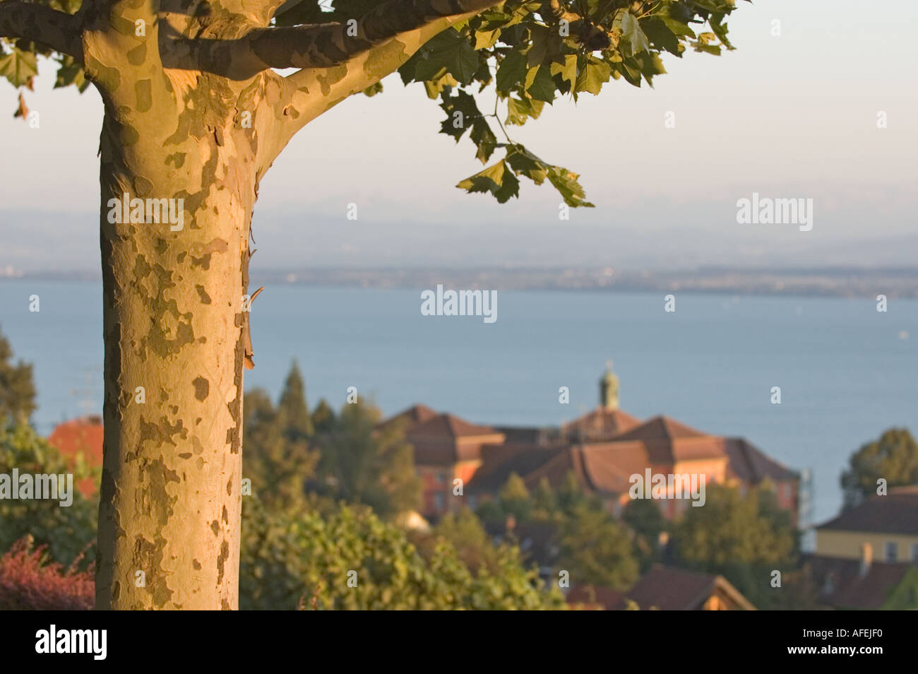 Ville de Meersburg, Lac de Constance (Bodensee) Bade-wurtemberg Allemagne Juillet 2004 Banque D'Images