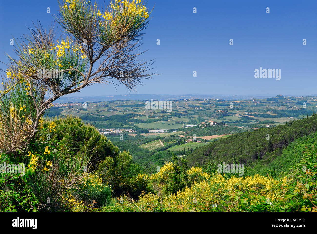 Vue de la colline de la campagne du Chianti à Val di Pesa Toscane Italie Banque D'Images