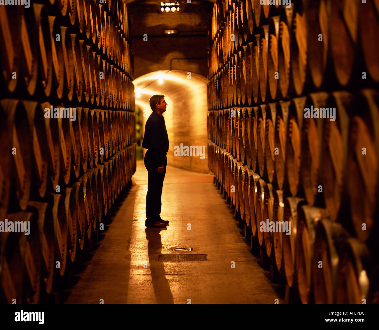 Le contremaître des travaux publics inspecte les barils de vin Rioja dans les caves souterraines à Muga winery Haro La Rioja Espagne Banque D'Images