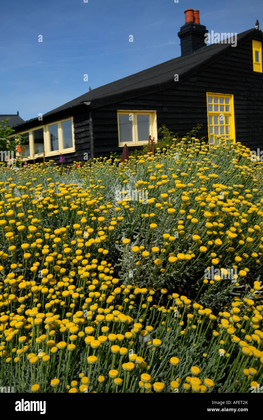 Perspective Cottage, Dungeness, Kent Banque D'Images