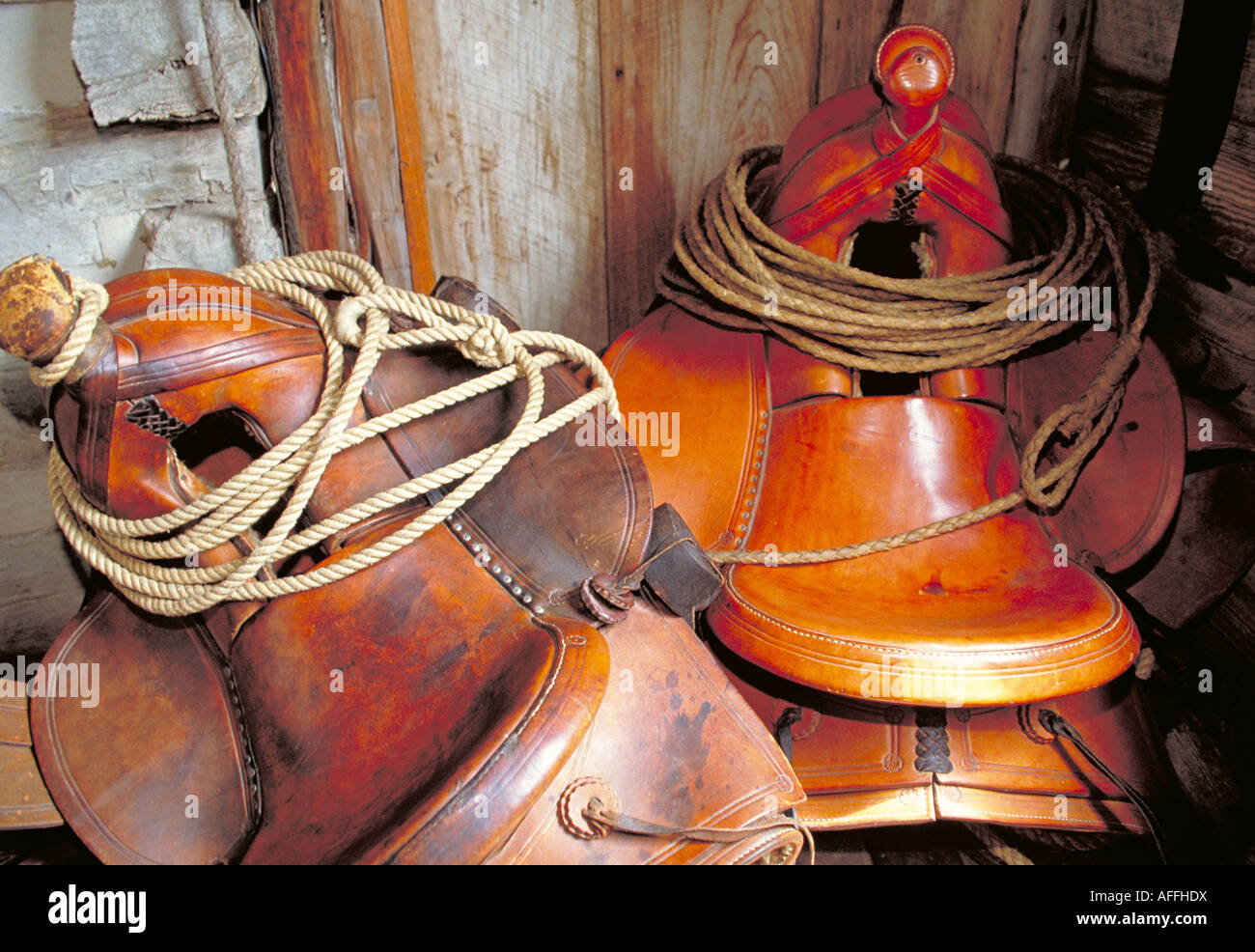 Elk228 Texas Hill Country 1785 Lyndon B Johnson Sam PSN Ealy Johnson log cabin de selles Banque D'Images