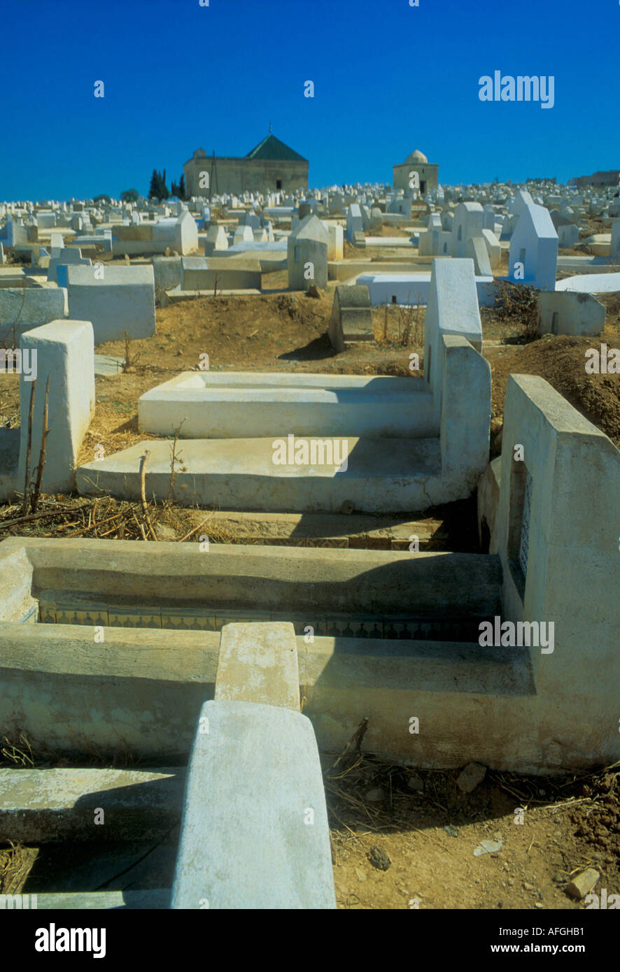 Mausolée de Sidi Ben Kacem, Soufi vénéré-saint, dans un cimetière de Fès . Maroc Banque D'Images