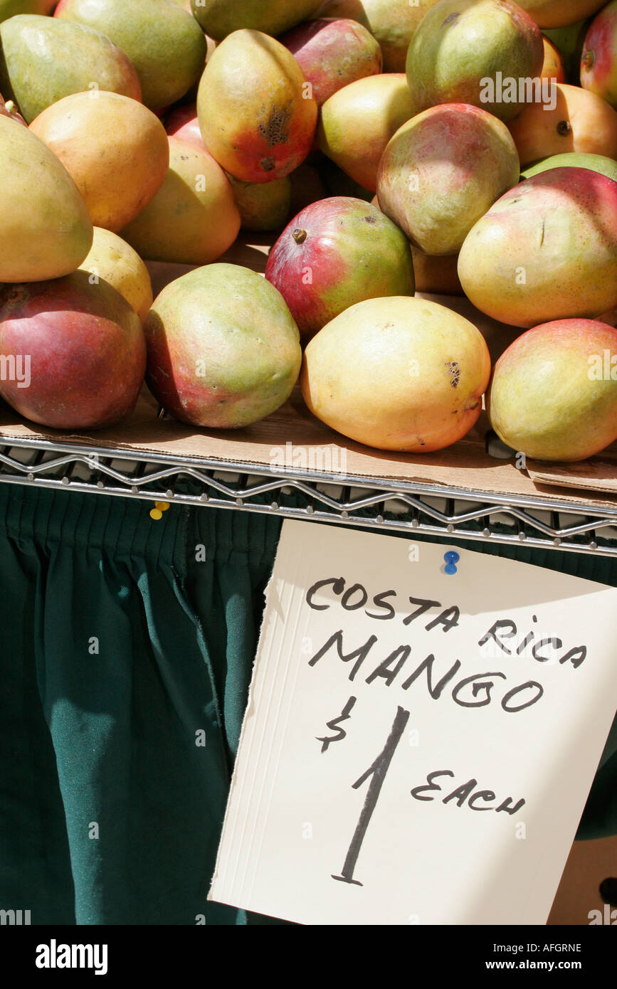 Miami Beach Florida,Lincoln Road Mall,marché agricole,Costa Rica mangue,fruits,vente de démonstration,FL060430227 Banque D'Images