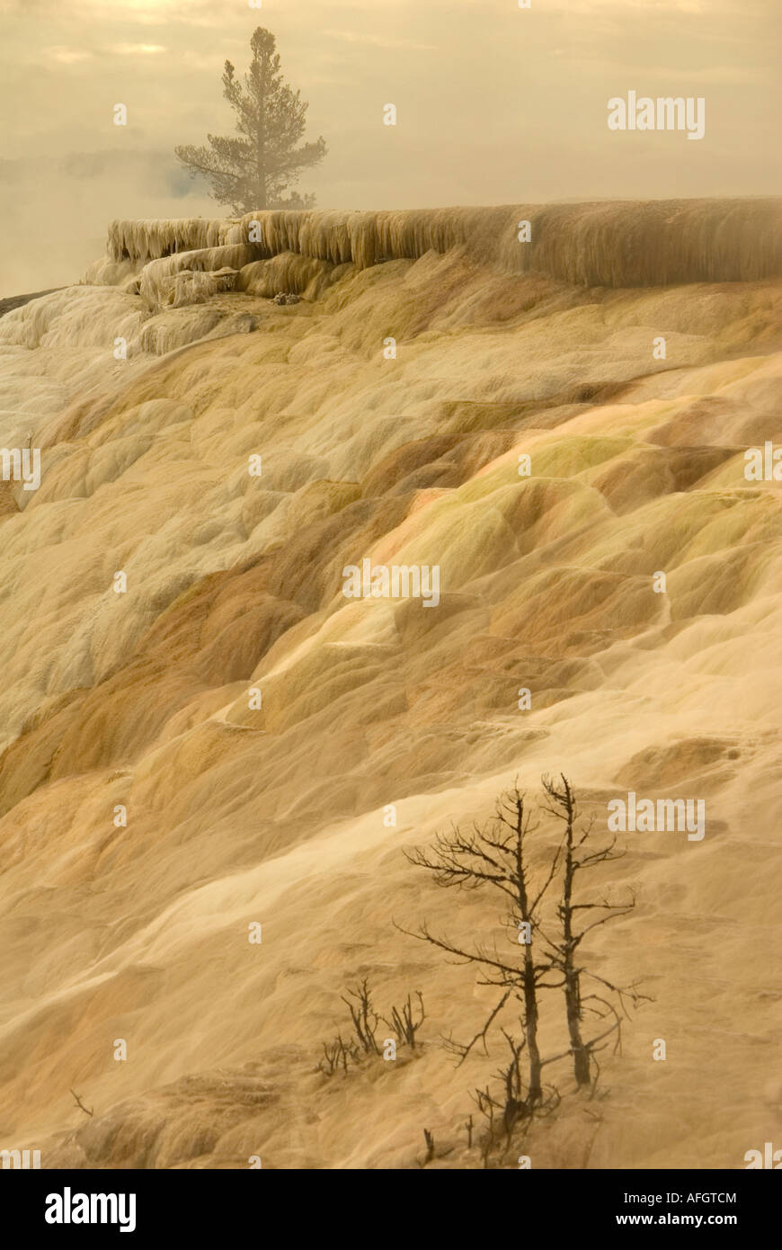 Mommoth Hot Springs Parc National de YellowStone terrasses faites de carbonate de calcium cristallisé Banque D'Images