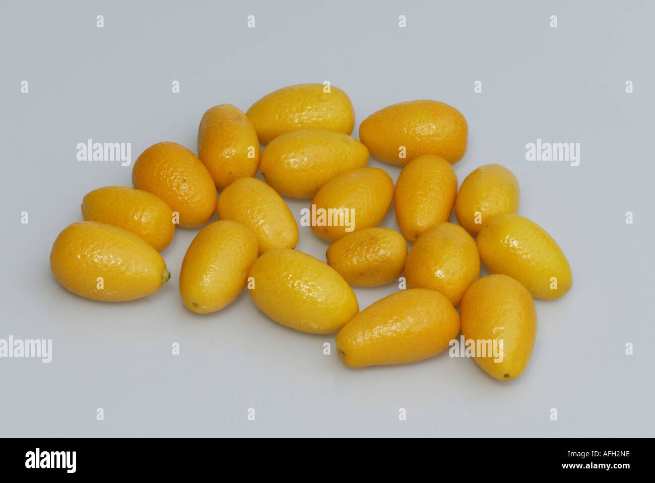 Malayan Kumquat (Fortunella polyandra /) Banque D'Images