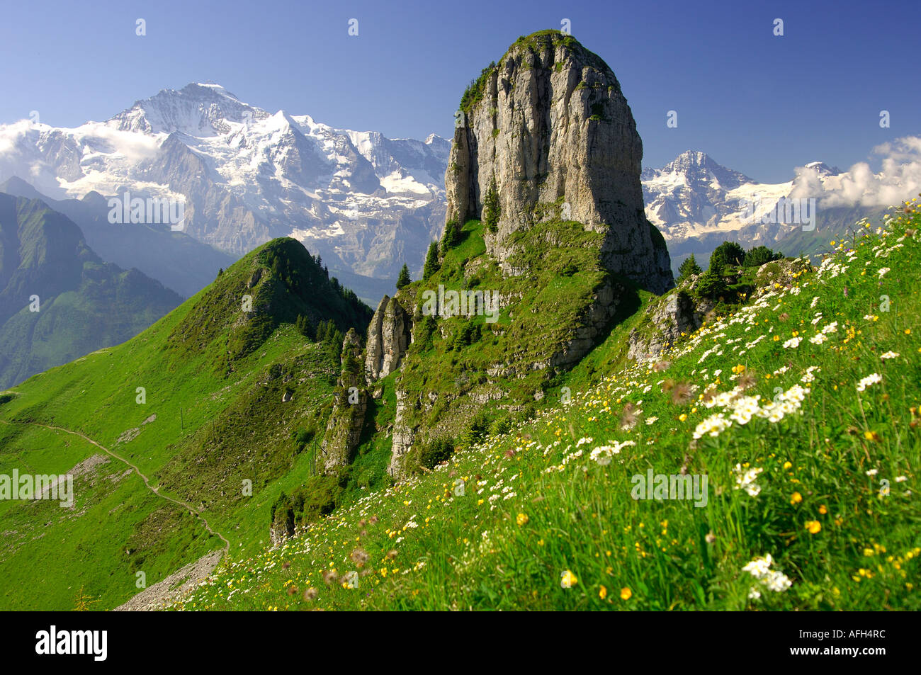 En face de Daubenhorn Mt Mt Jungfrau Schynige Platte Oberland bernois Suisse Banque D'Images