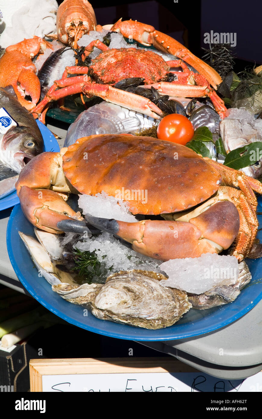 dh cancer pagurus FRUITS DE MER JERSEY européen comestible grand crabe sur plaque Jersey produire canal îles poissons décrochage nourriture crabes brun marché local royaume-uni Banque D'Images