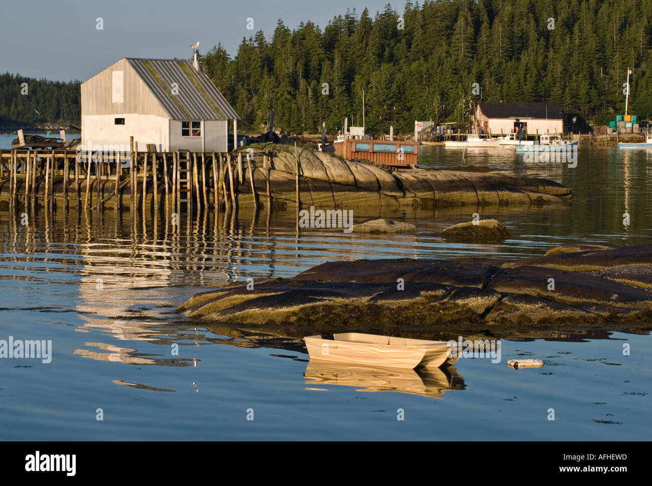 Port de Stonington, Maine, Juillet 2006 Banque D'Images