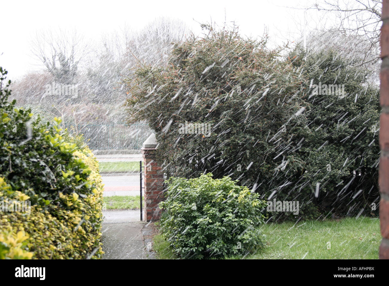 La neige qui tombe à 45 degrés dans le jardin résidentiel Banque D'Images