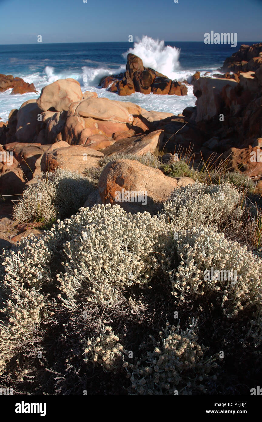 Les roches du canal Leeuwin Naturaliste National Park Région de Margaret River en Australie de l'Ouest Banque D'Images