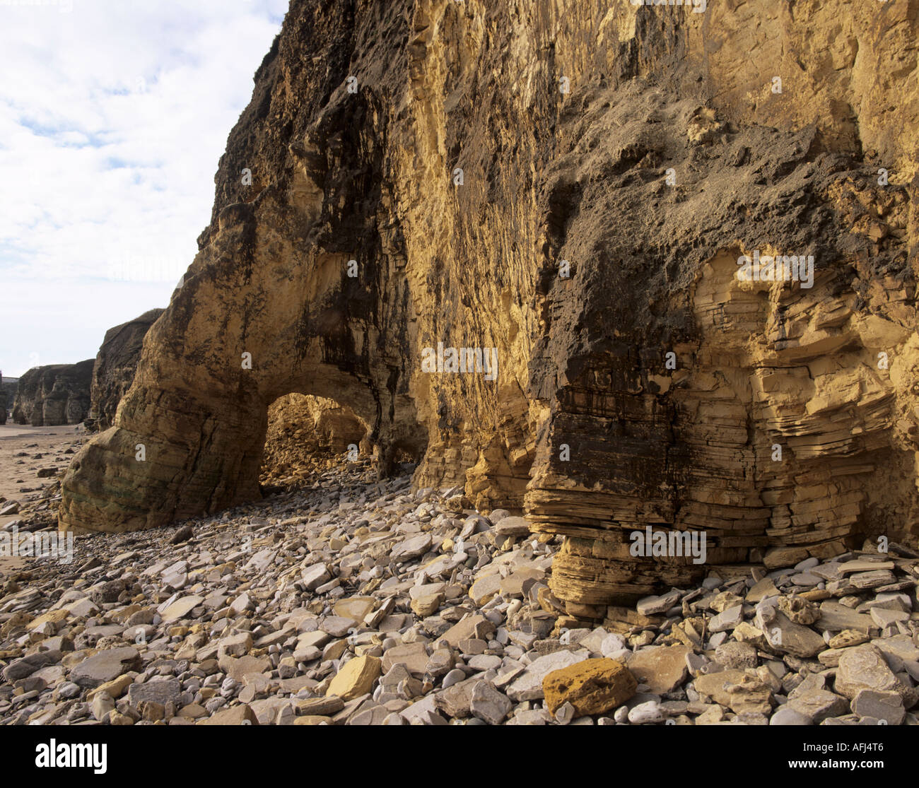 L'érosion de falaises calcaires magnésiens à Marsden Bay Tyne & Wear Angleterre. Shows rock arch et couches Banque D'Images