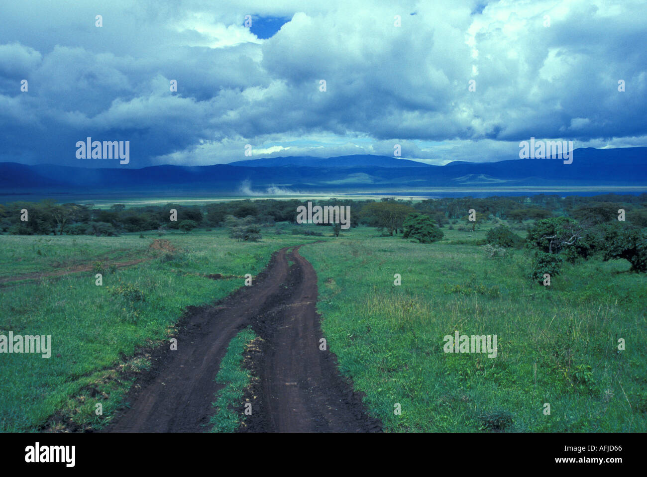 Road dans le cratère Tanzanie Afrique du Ngorangoro Banque D'Images