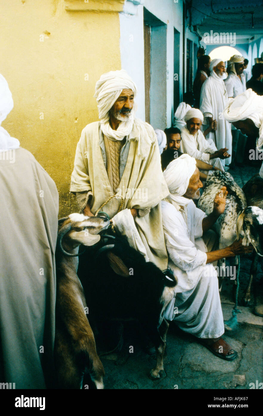 Ghardaia Algérie Hommes du marché et des chèvres Banque D'Images