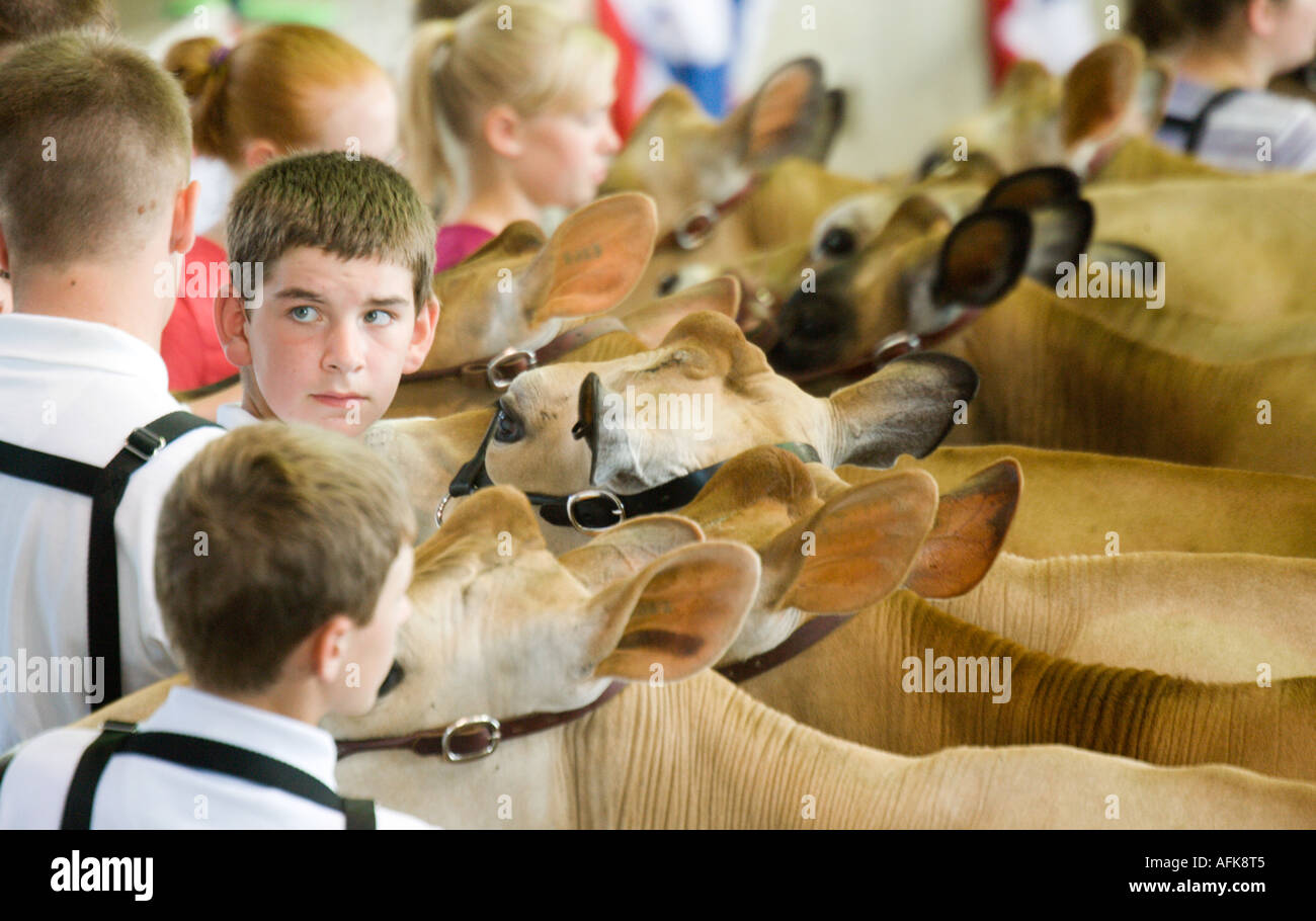 Les adolescents avec Jersey vaches laitières au Wisconsin State Fair 2005 Milwaukee Wisconsin USA Banque D'Images