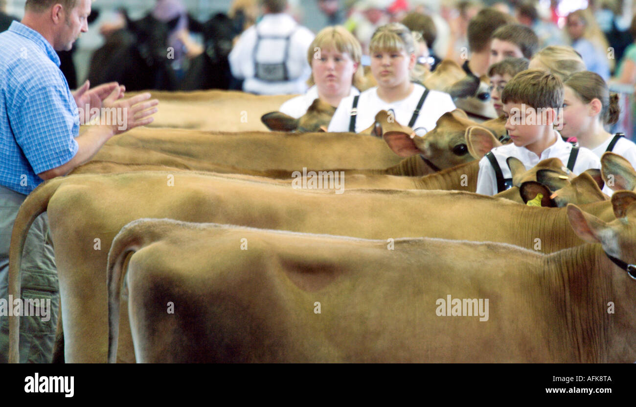 Traiter les adolescents juge avec vaches Jersey au Wisconsin State Fair 2005 Concours laitiers Milwaukee Wisconsin USA Banque D'Images