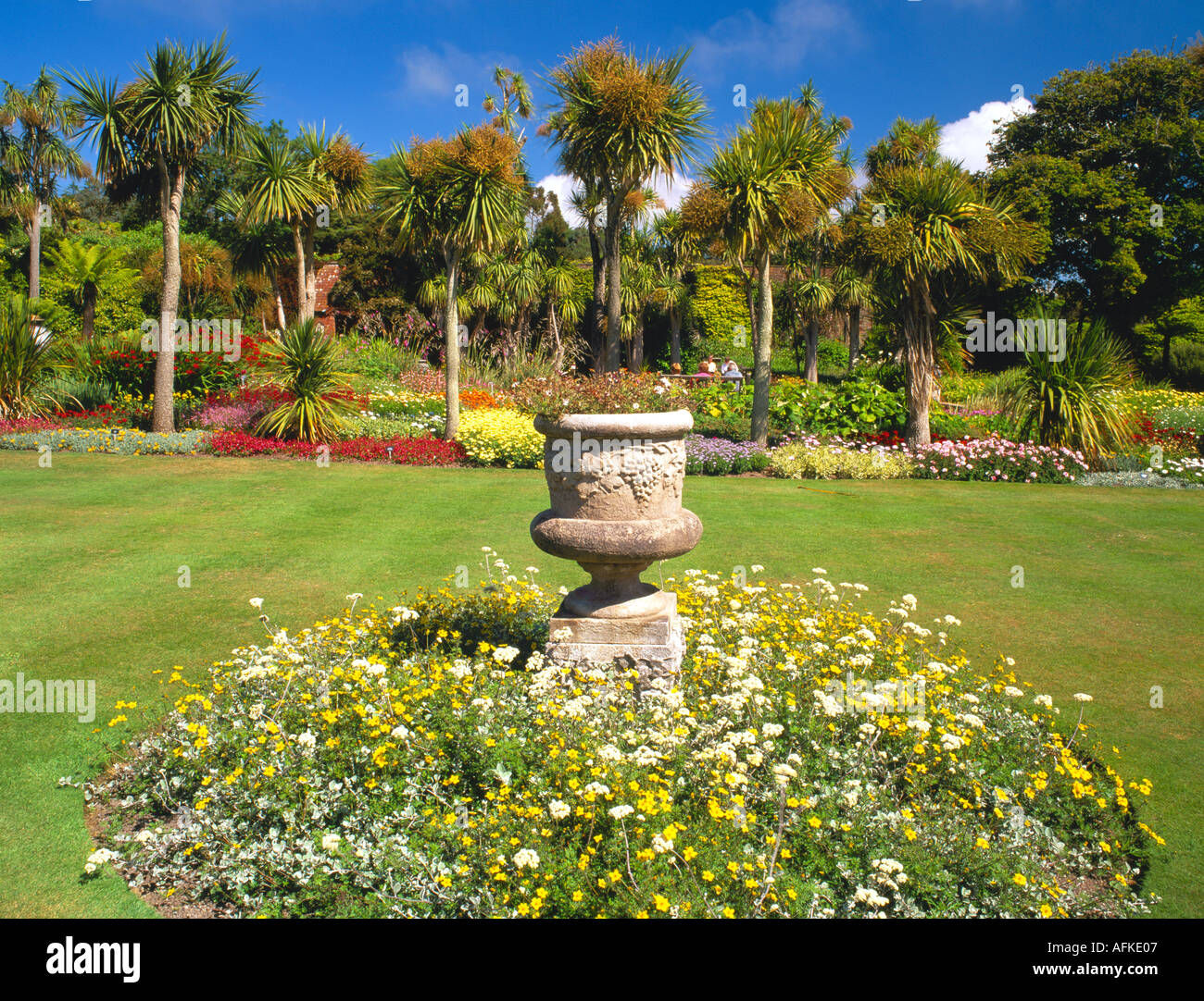 Logan Botanic Gardens dans le Rhins of Galloway Banque D'Images