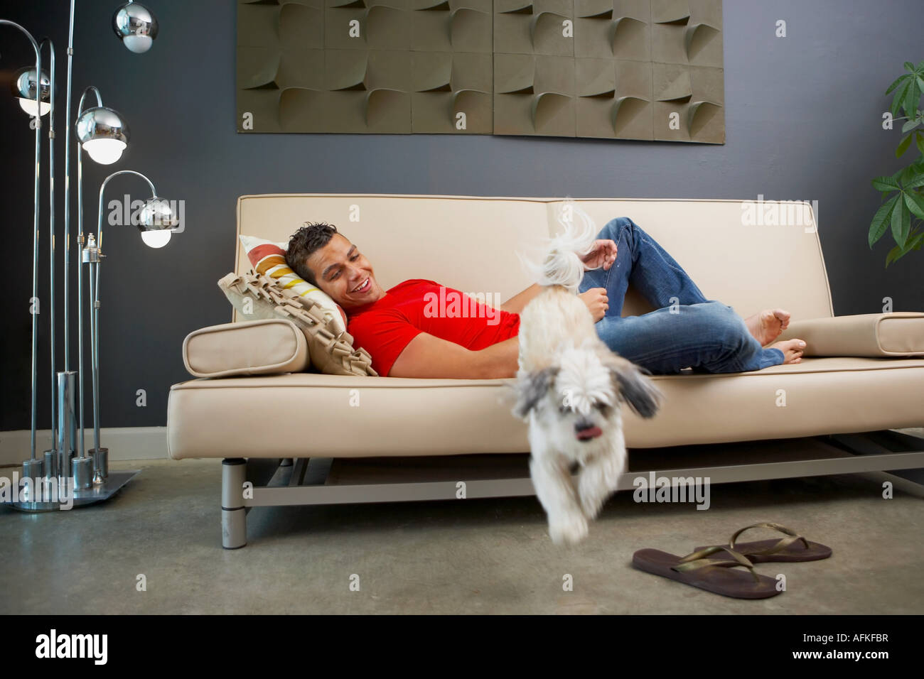Portrait d'un jeune homme allongé sur un canapé et regarde ses animaux domestiques d'un saut d'elle Banque D'Images Portrait d'un jeune homme allongé sur un canapé et regarde ses animaux domestiques d'un saut d'elle Banque D'Images