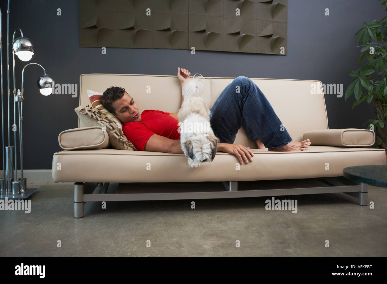 Portrait d'un jeune homme et un chien couché sur un divan Banque D'Images Portrait d'un jeune homme et un chien couché sur un divan Banque D'Images