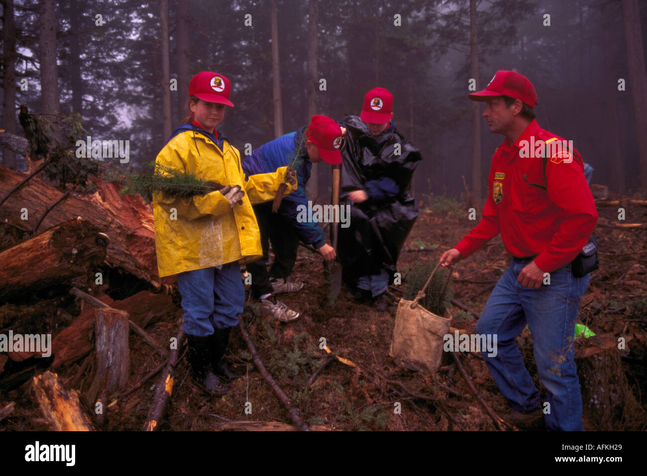 Garde forestier junior bénévoles la plantation d'arbres fruitiers sur  Projet de reboisement en forêt de conifères du British Columbia Canada  Photo Stock - Alamy