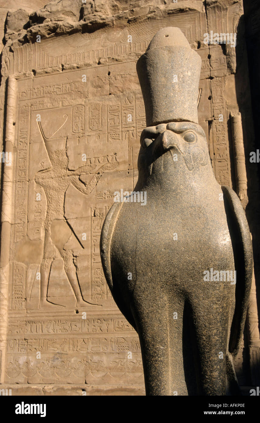 Statue de l'ancien dieu égyptien Horus en avant du premier pylône au Temple d'Edfou, Edfou, Egypte. Banque D'Images