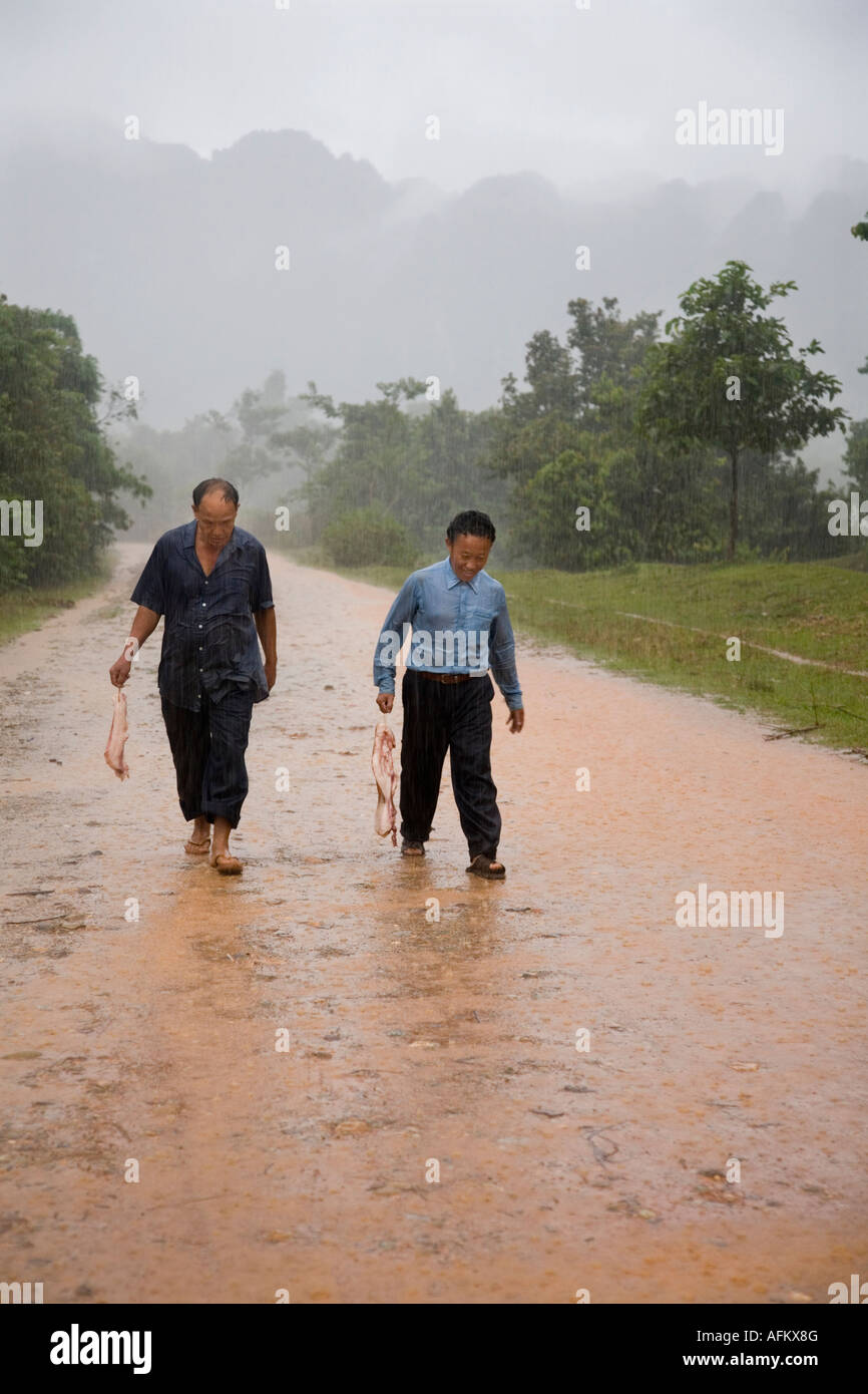 Les travailleurs à pied à travers la pluie près de Ban Na Thong village, Vang Vieng. Le Laos. Banque D'Images