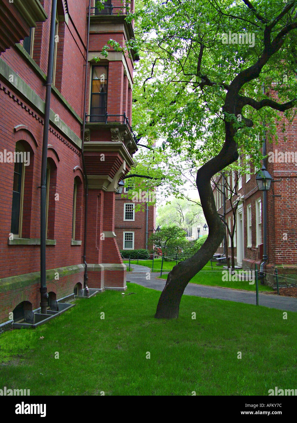 Motif de l'Université Harvard, Cambridge MA, USA Banque D'Images
