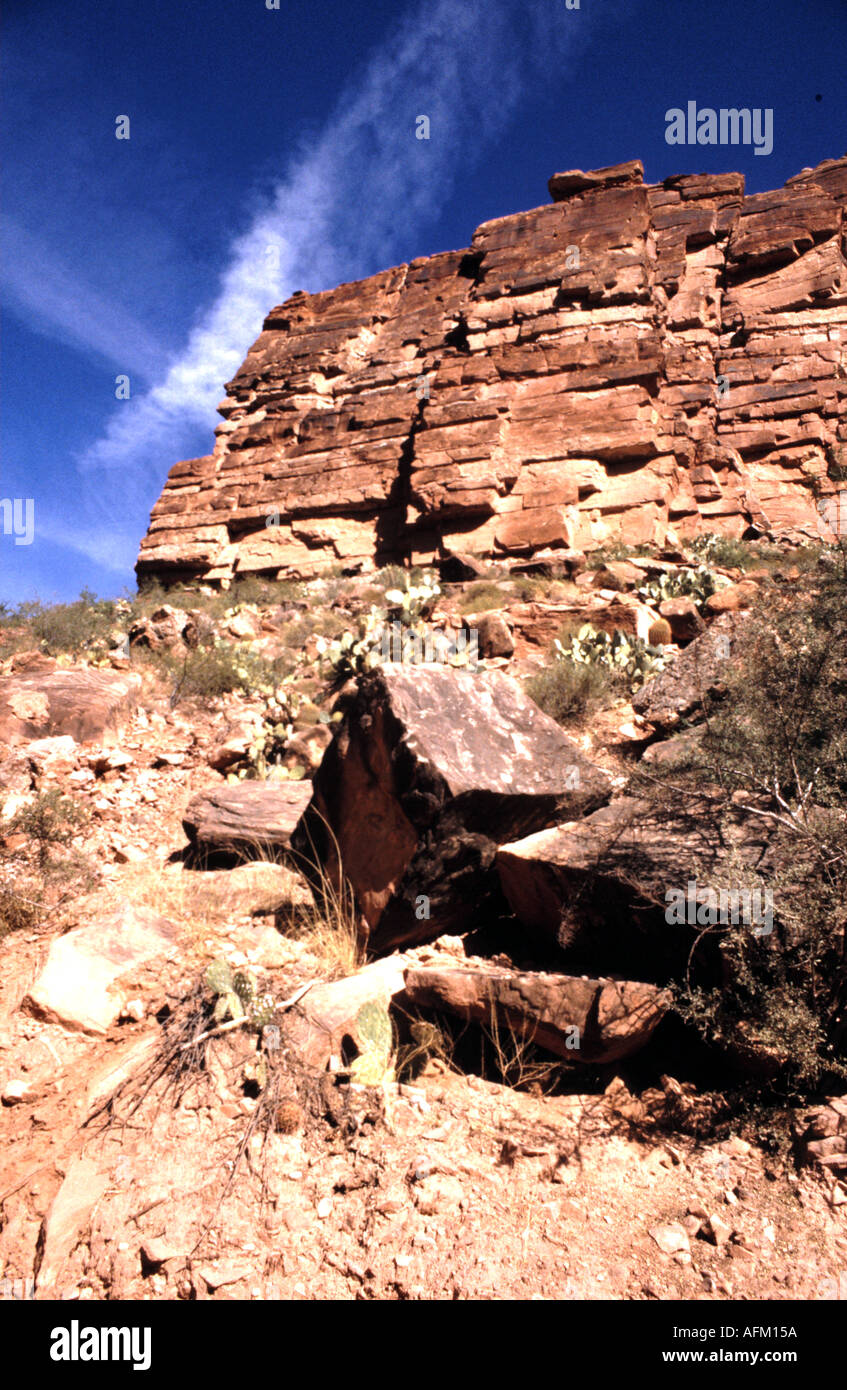 Dalles de roche dans Havusu canyon dans le Parc National du Grand Canyon Banque D'Images