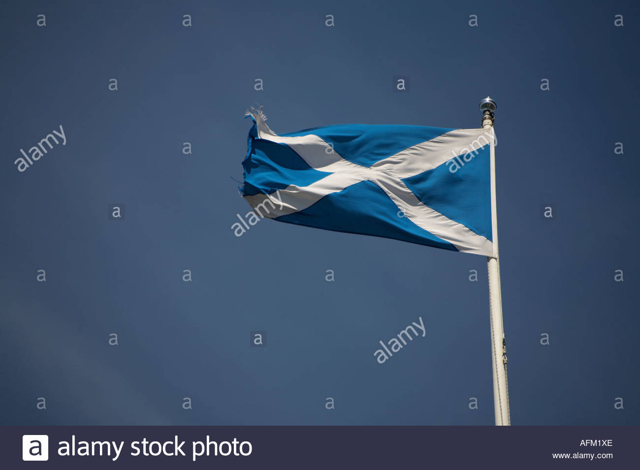 Drapeau écossais en soufflant sur une journée ensoleillée Banque D'Images