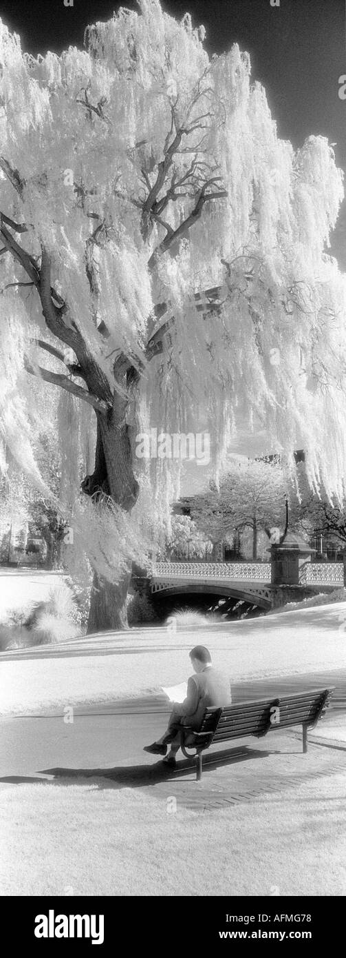 Un homme dans l'isolement la lecture de son livre Banque D'Images