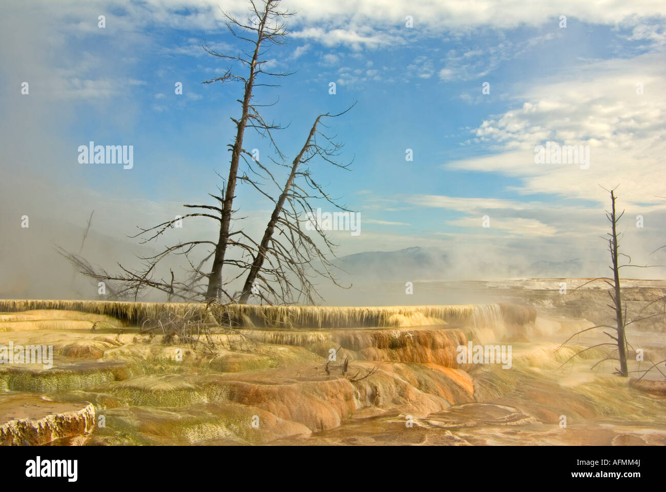 Mommoth Hot Springs Parc National de YellowStone terrasses faites de carbonate de calcium cristallisé Banque D'Images