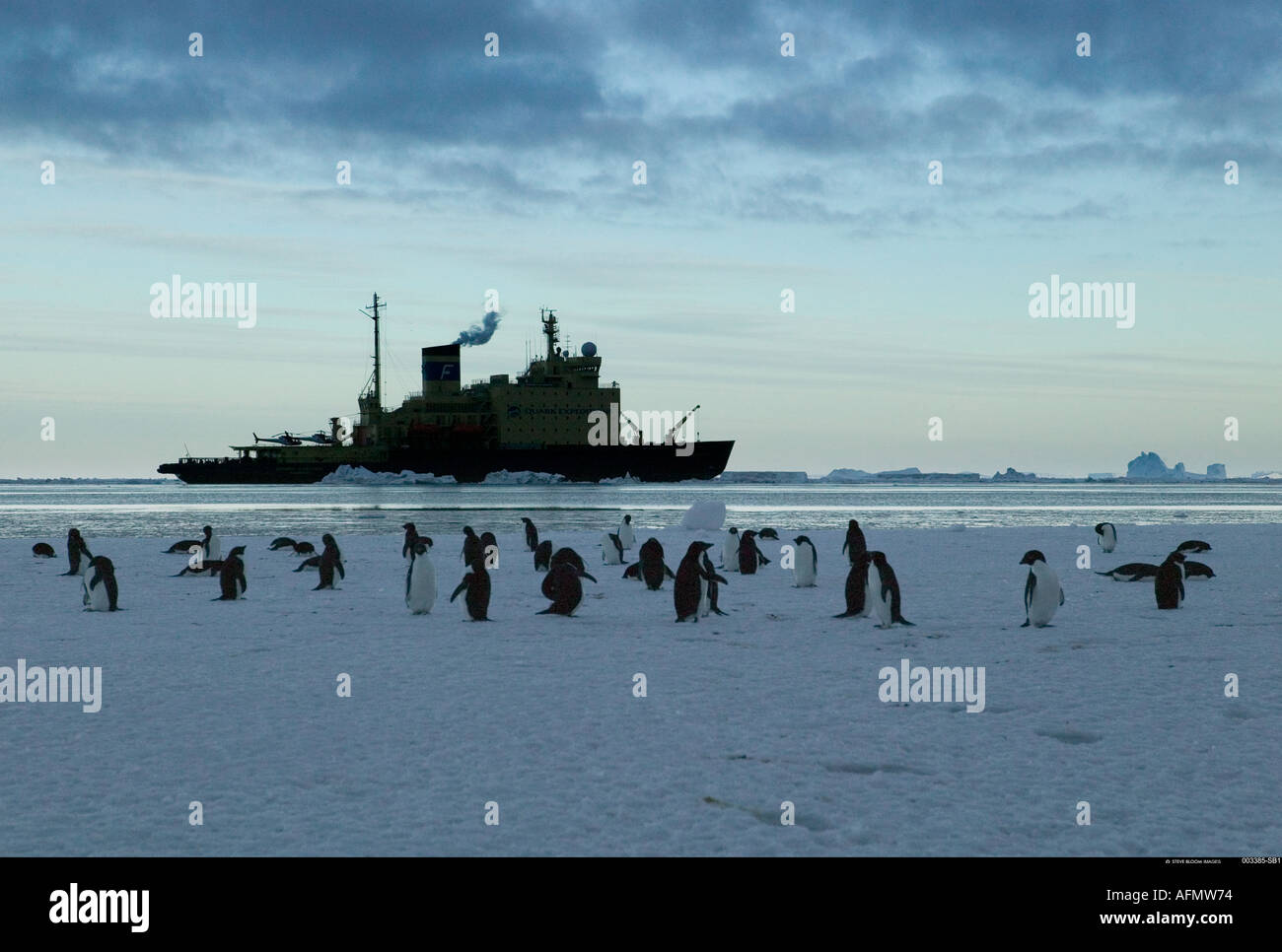 Manchots adélies avec brise-glace dans l'arrière-plan de l'Antarctique Cap Adare Banque D'Images