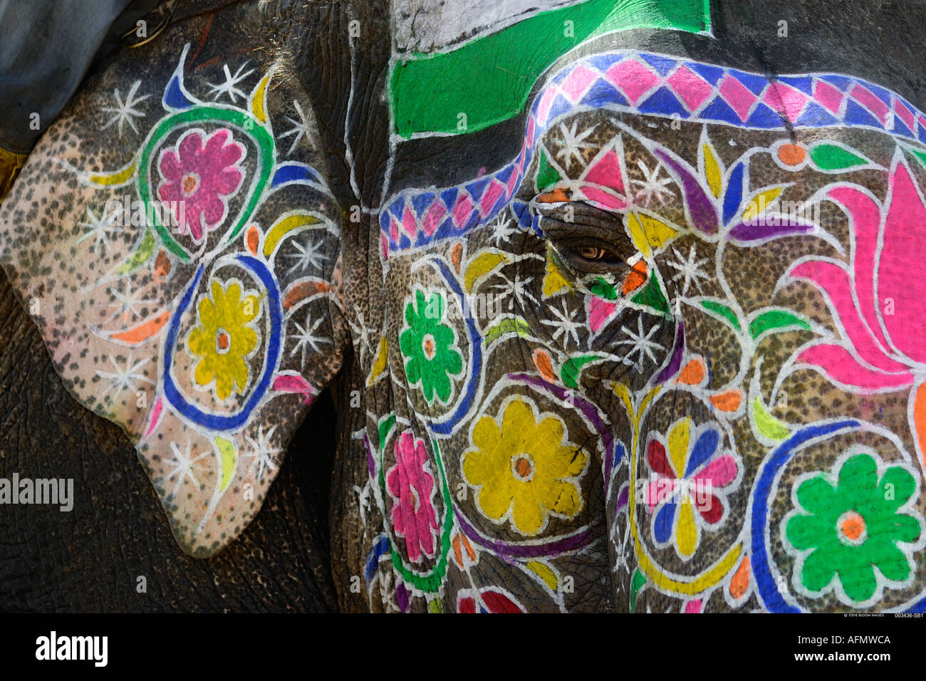 Elephant peint en préparation pour le Festival de l'éléphant d'Inde Jaipur Banque D'Images