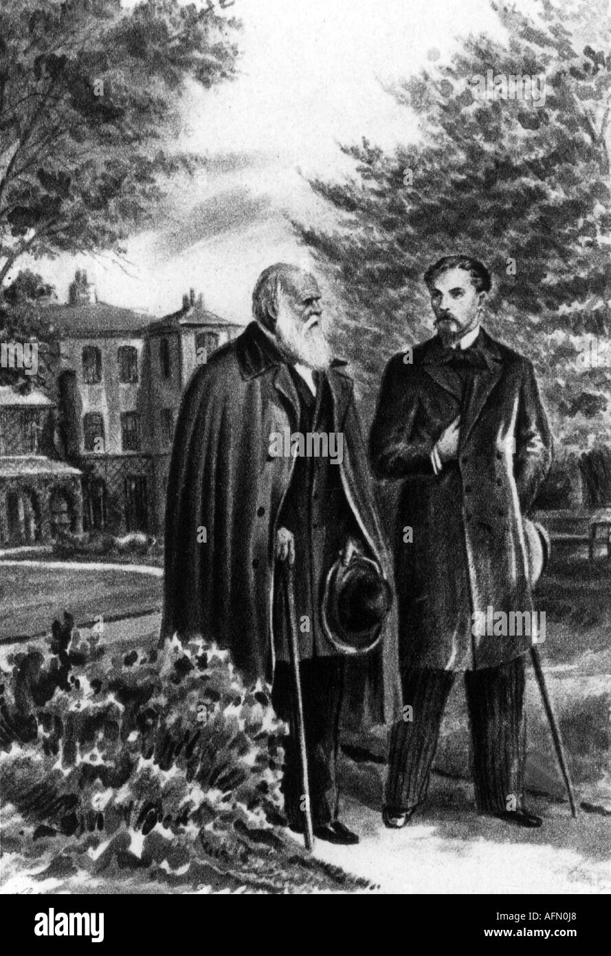 Darwin, Charles Robert, 12.2.1809 - 19.4.1882, naturaliste britannique, pleine longueur, avec Kliment Timirjasev, dessin, vers 1875, Banque D'Images