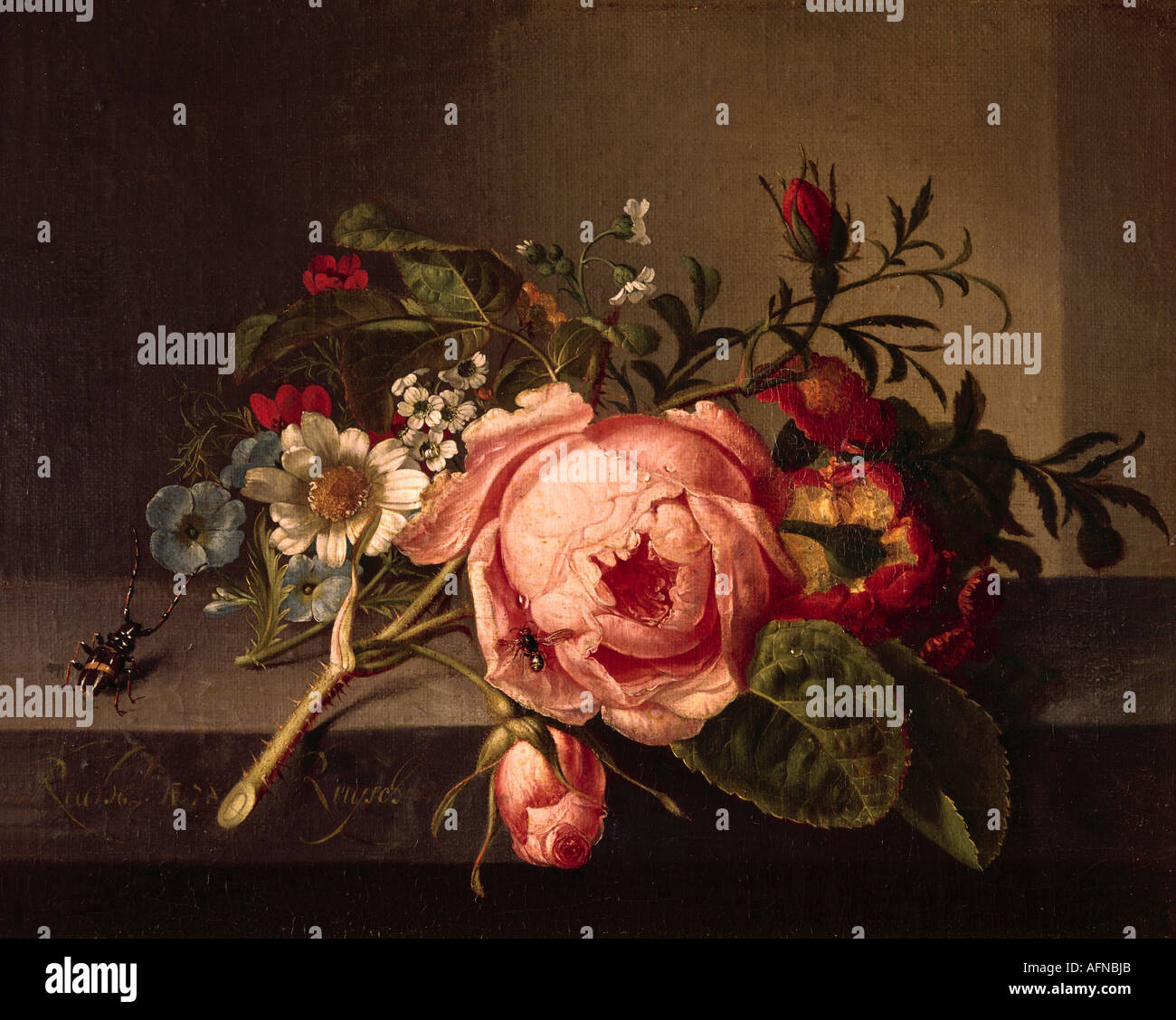'Fine Arts, Ruysch, Rachel, (1664 - 12.8.1750), peinture, 'Rosenzweig mit Käfer und Öffentliche Kunstsammlung, Biene", Bâle, Banque D'Images