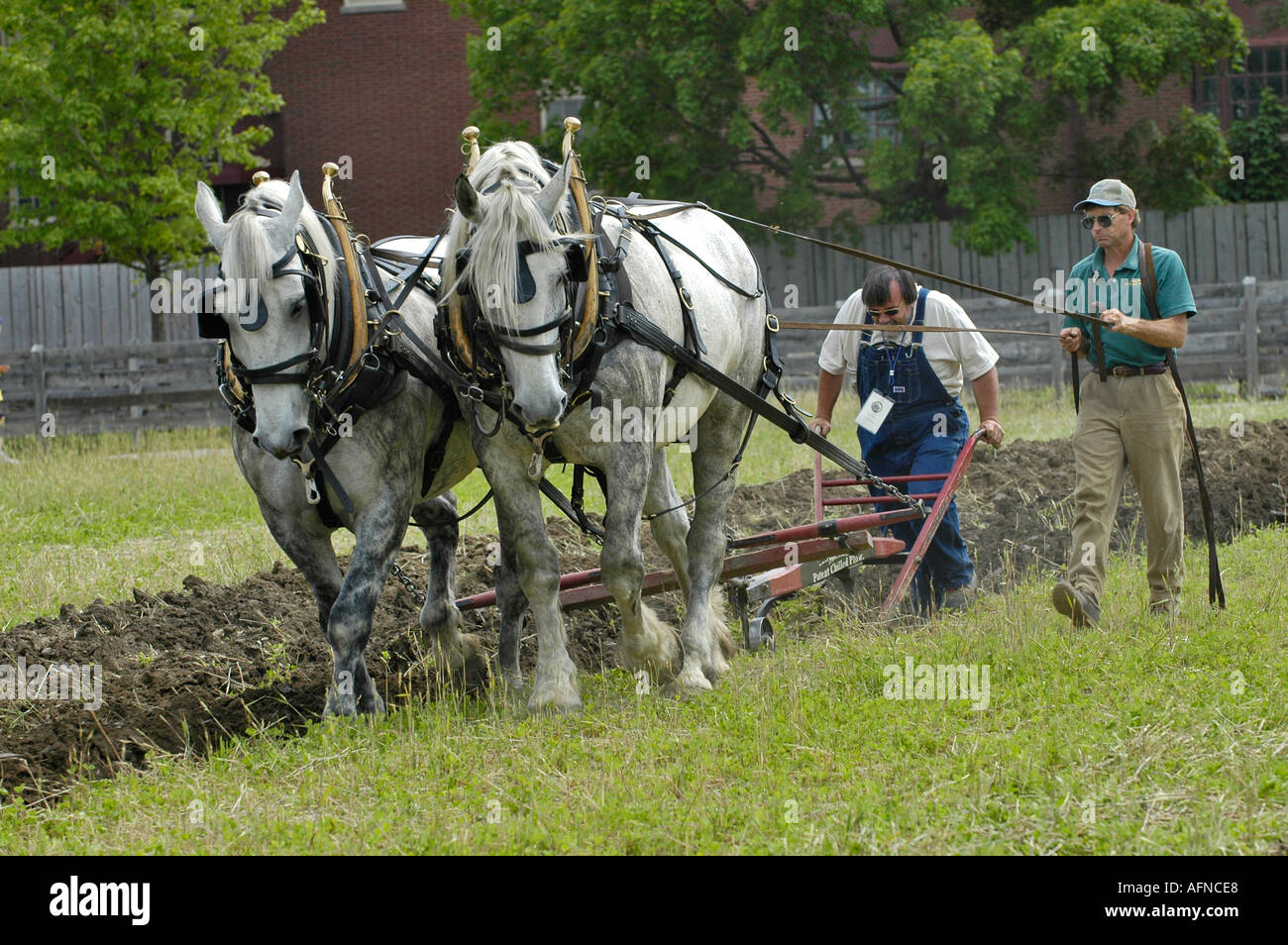 Ferme Historique de labourage avec attelage de chevaux à Greenfield Village et Musée Henry Ford à Dearborn, Michigan situé Banque D'Images